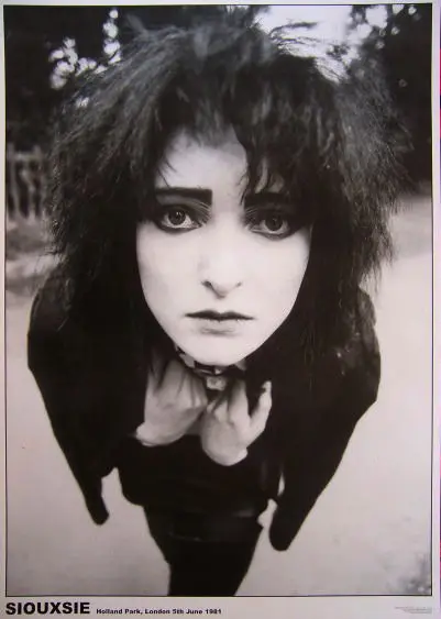 

Siouxsie Sioux and the Banshees UK Import US Shipping Silk Poster Wall Sticker Decoration Gift