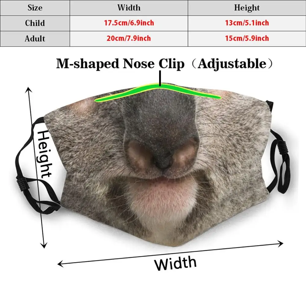 Маска коала портрет лицо коала мама коала папа коала медведь животное Австралийский медведь природа дикая милая Коала для влюбленных