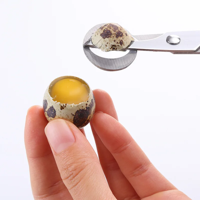 Quail Egg Scissor Stainless Steel Pigeon Cutter Shell Peeler Bird Pigeon Eggs Cigar Shear Grape Cutter Tool Kitchen Accessories