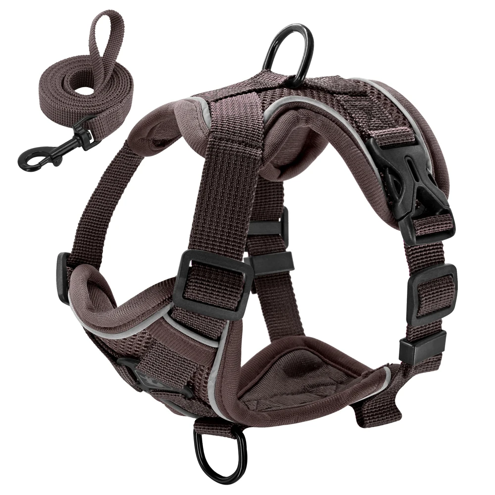 Reflektierendes Hundekatzen-Geschirr- und Leine-Set, Mesh-Nylon-Hundeweste, Geschirr mit Gehbleieseil für kleine und mittelgroße Hunde, Bulldogge, Mops