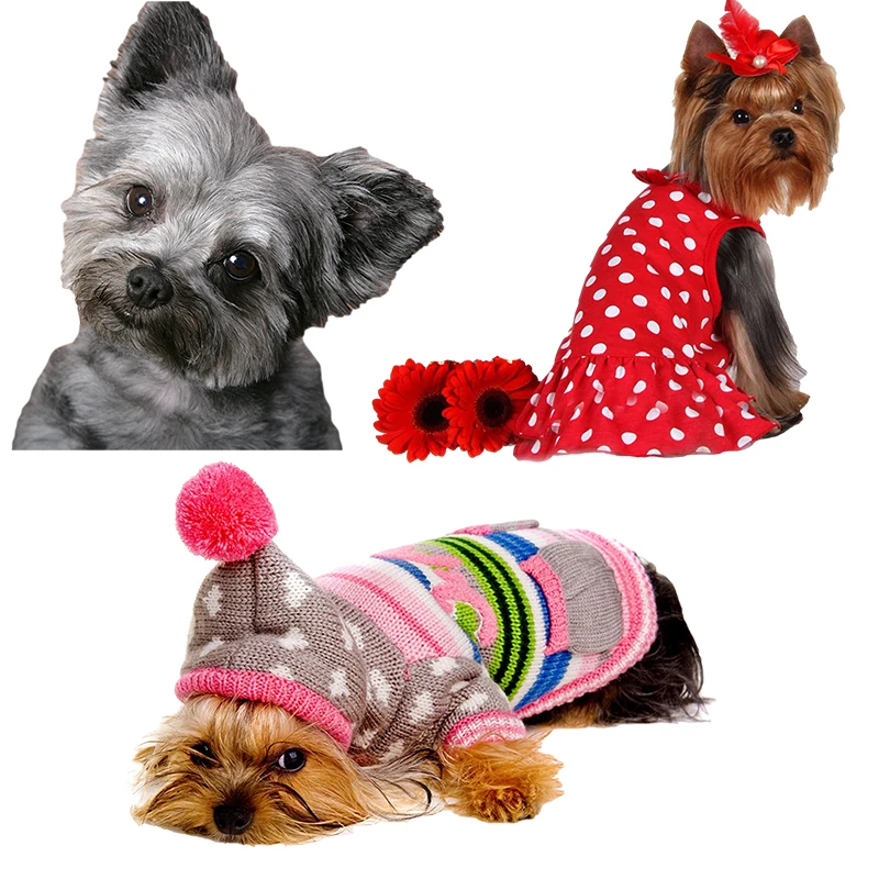 Три Ratels QD102 HD Pixel милый Йоркширский терьер наклейка для домашних животных собака виниловая Автомобильная обертка для капота автомобиля ноутбука Подарочные наклейки домашний декор