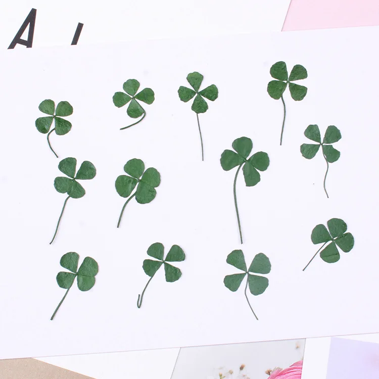 12pcs 1.5-2.5cm Press flower dried flower Four Leaf Clover natural Flower Stickers DIY Resin Jewelry Making