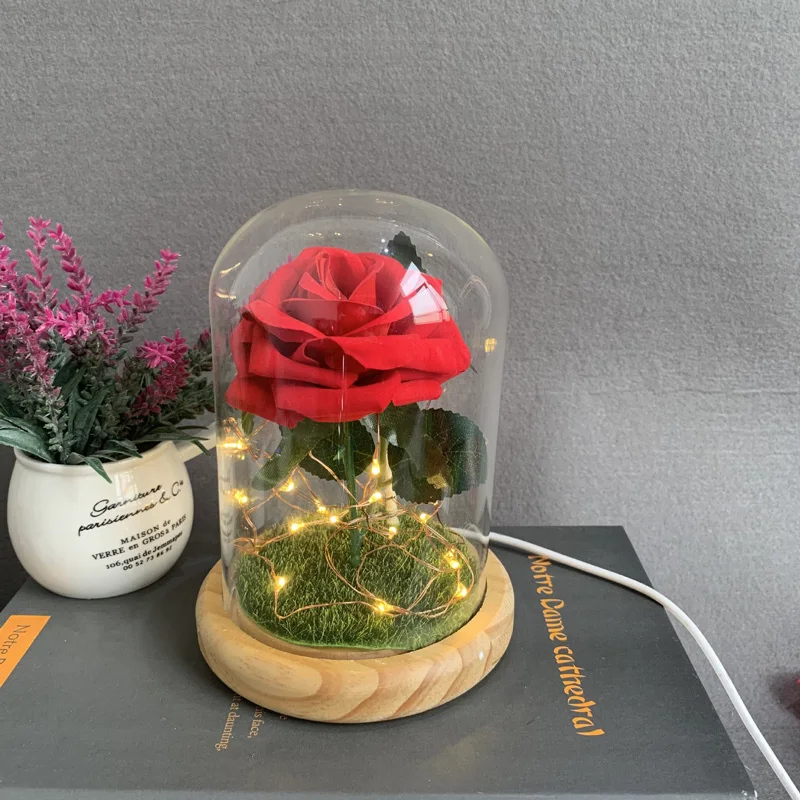 

LED Flower Lights Rose Beauty The Beast In Glass Cover Christmas Home Decor for Mother Valentines Day New Year Gift