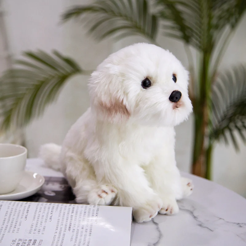 High Quality lifelike Maltese Dog Plush Toy Soft Cartoon Animal Dog Stuffed Doll Home Decoration Birthday Gift