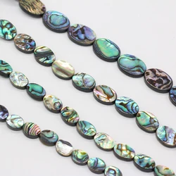 Wholeslae Natural Abalone Paua Shell Beads Elliptical Scattered Beads for Jewelry Making DIY Charm Necklace Bracelet Gift 5Pcs