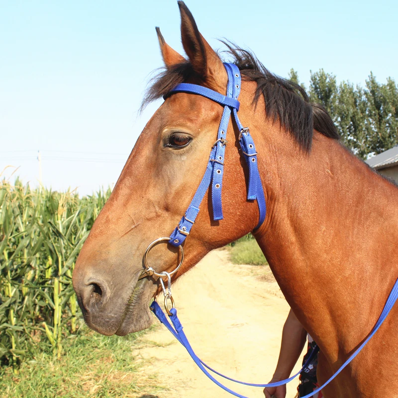 Arnês rédea cavalo cavalo rédea headstall cabresto acessórios equestres removível webbing equipamentos de equitação halters