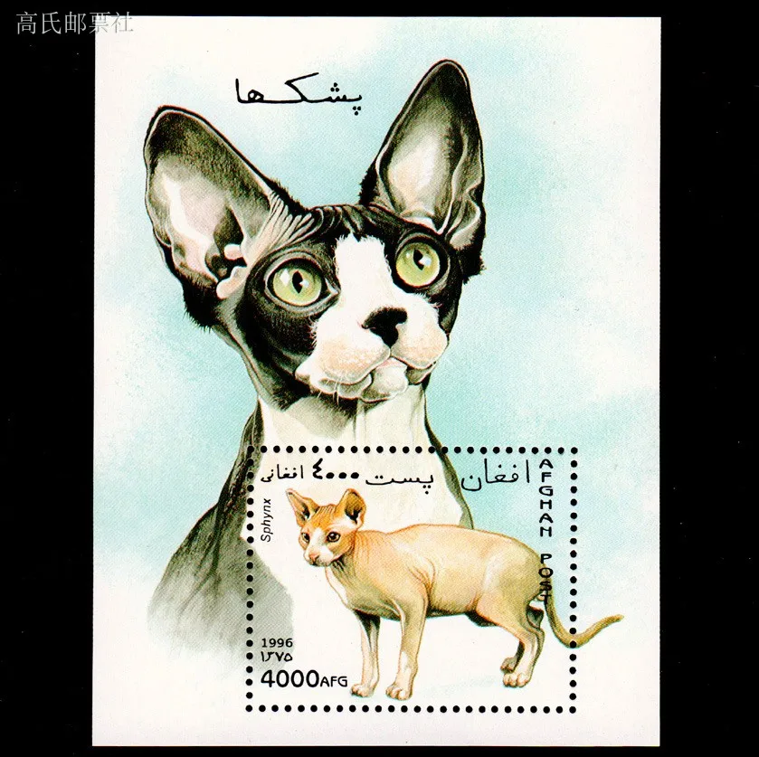 1Sheet New Afgh Post Stamp 1996 Pet Cat Canadian Hairless Souvenir Sheet Stamps MNH