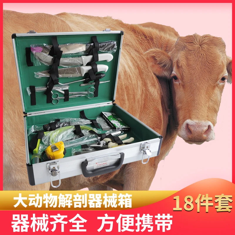 

Large Animal Dissecting Instruments Kit Box Cattle Sheep Pig Veterinary Instrument Large Animal Dissector Experimental Supplies