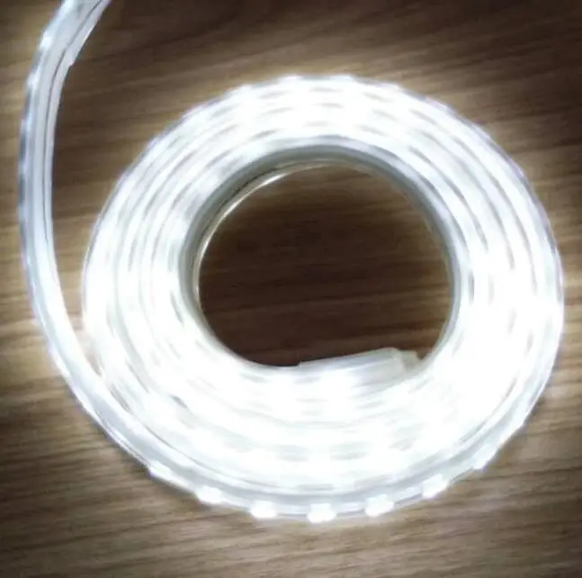 Dimmable Remote control LED Strip 220V 110V waterproof LED Strip Light 120 leds/m 5730 ribbon ledstrip stripe tape room lamp