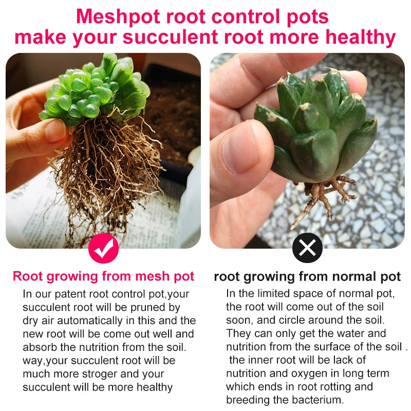 Meshpot Kunststoff Sukkulenten Topf High Saist Kaktus Pflanzer Bonsai Garten Lieferant aus gezeichnete Drainage und atmungsaktive Pflanzen Topf – Detail 9
