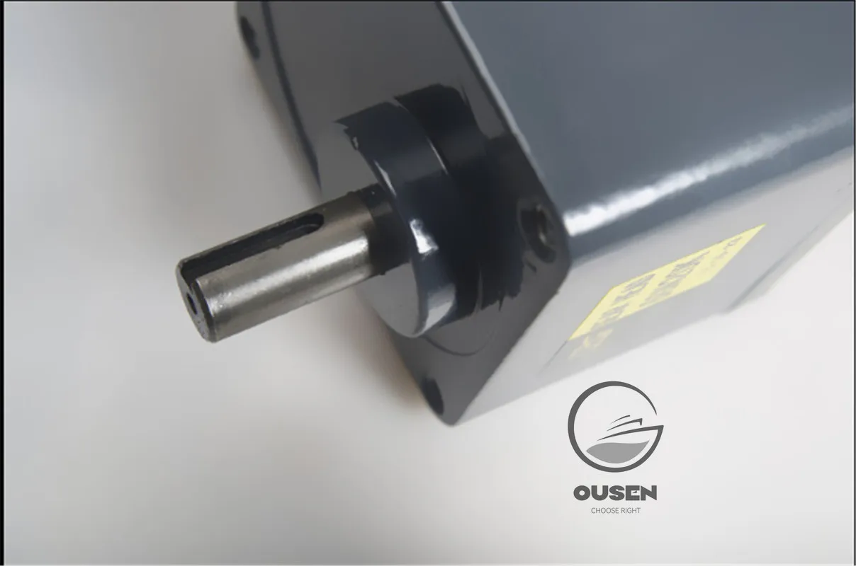 120W 220V Ac Gear S…