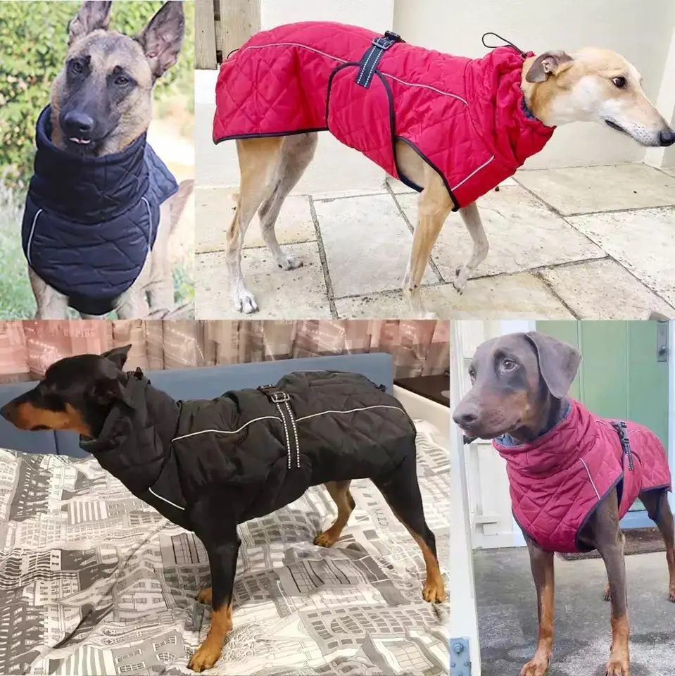 Dog Outdoor Jacket Waterproof Dog Clothes Vest Winter Warm Cotton Dogs Clothing for Large Middle Dogs  Labrador red black