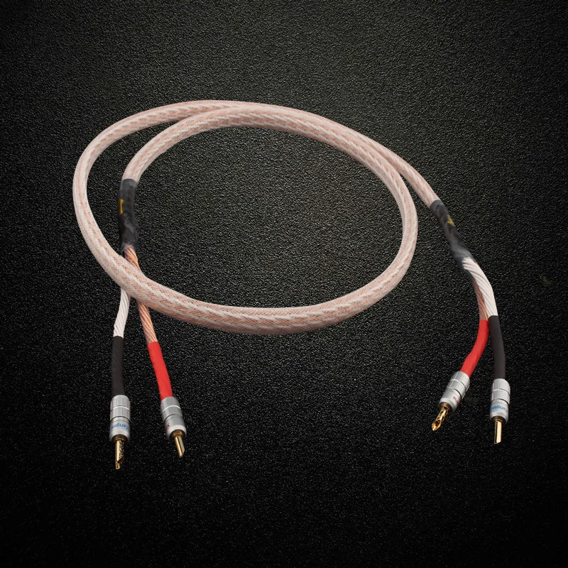 HIFI 12TC Hifi Speaker Cable With 2 Banana Plug to 4 Banana Jack Hi-end OCC Speaker Wire
