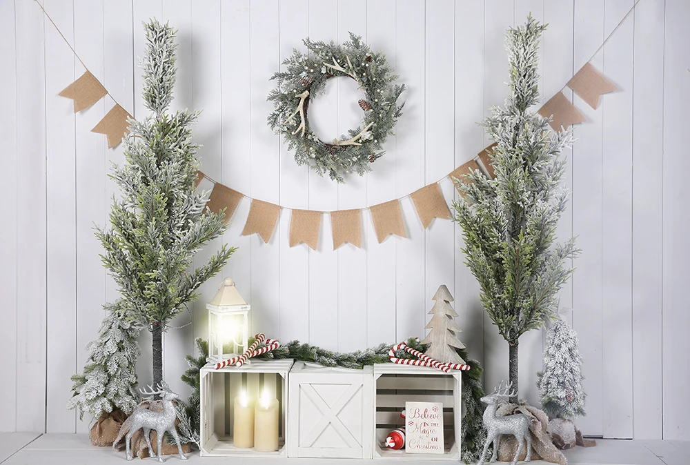 Photography Backdrop Christmas Decoration White Wood Wall Pine Box Baby Newborn Portrait Background Photo Studio Props W-4407