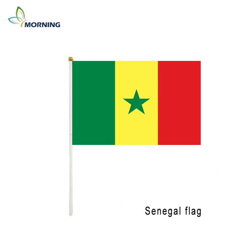 MORNING10pcs small 14*21 cm senegal  flag