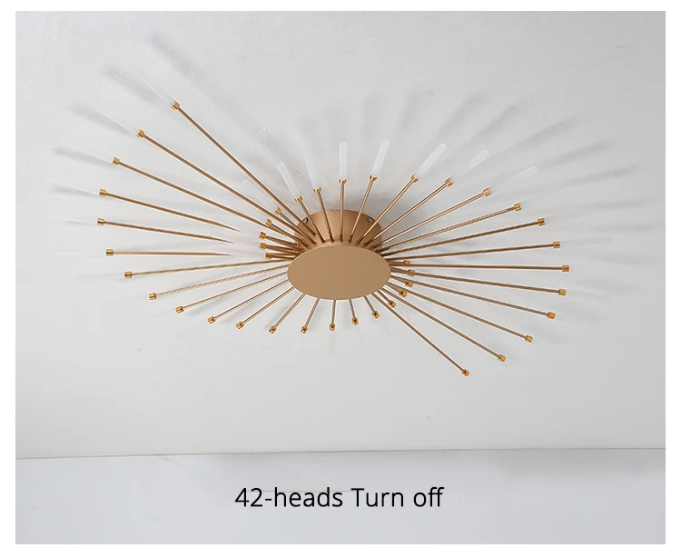 QIYIMEI Modern Ceiling Lights LED Luster Indoor Lighting For Bedroom Hall Living Kids Room Acrylic Lamps Fixture Frame 175-260V