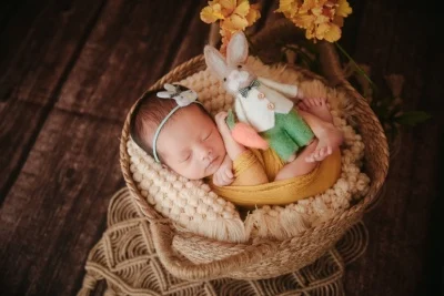 Felt rabbit - hand-made felt carrot doll baby photography prop newborn shooting little fantile props  accessories