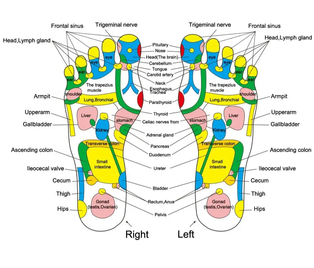 New Foot Massager Cushion Massage Mat Improve Blood Circulation Relieve Ache Pain Acupoint Stimulation Eliminate Muscle Fatigue