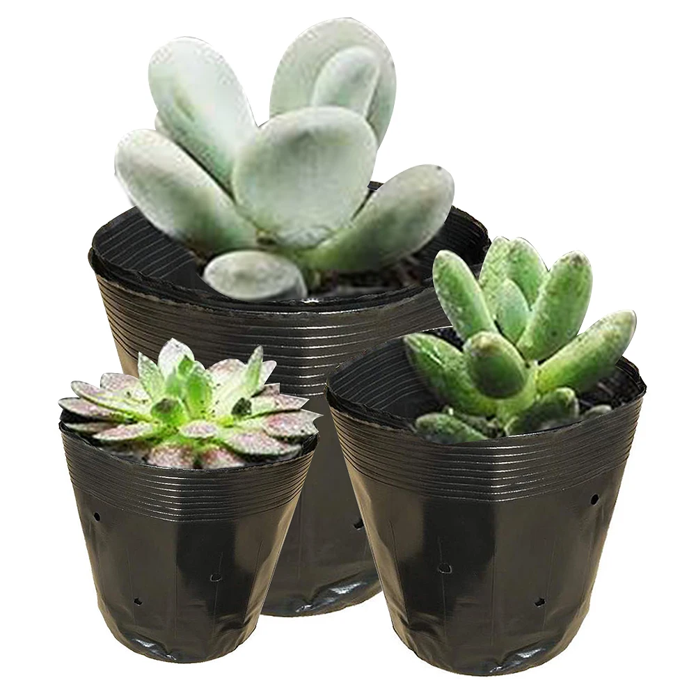 Plastic Peat Pots Plant Starters Cups Nursery Herb Tray Garden 2