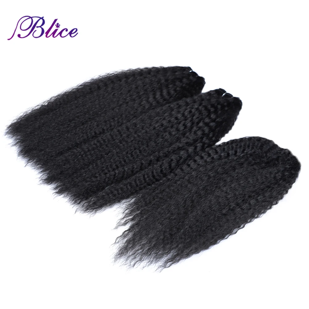 Blice Synthetic Hair Bundles With Closure 2 Pieces Kinky Straight Hair Weaving With Closures For Women 10-30 Inch