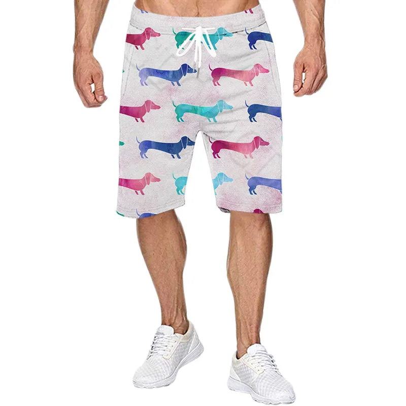 Short de plage pour hommes, vêtements d'été, imprimé chien 3D, short unisexe, Harajuku, Streetwear, Fitness, natation, hommes