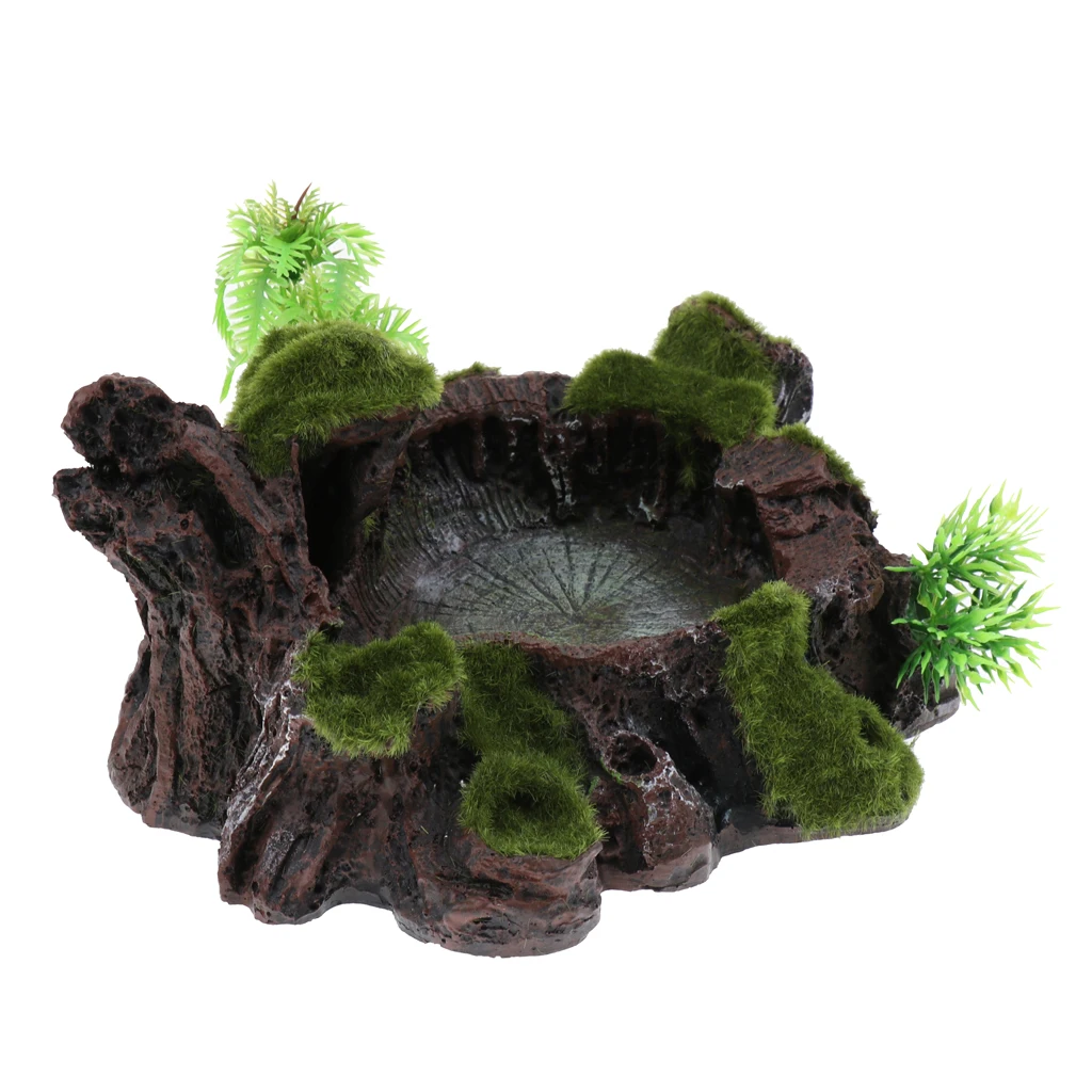 Rock Bowl Food Water Dish Feeder Plant Decor For Terrarium Reptile Tank