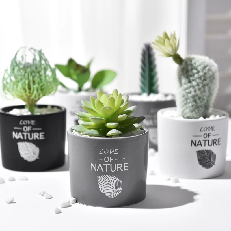 

Ins wind simulation succulent green plant ceramic potted living room indoor cactus bonsai decoration desktop furnishings