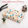 A Pillowcase 27x44cm