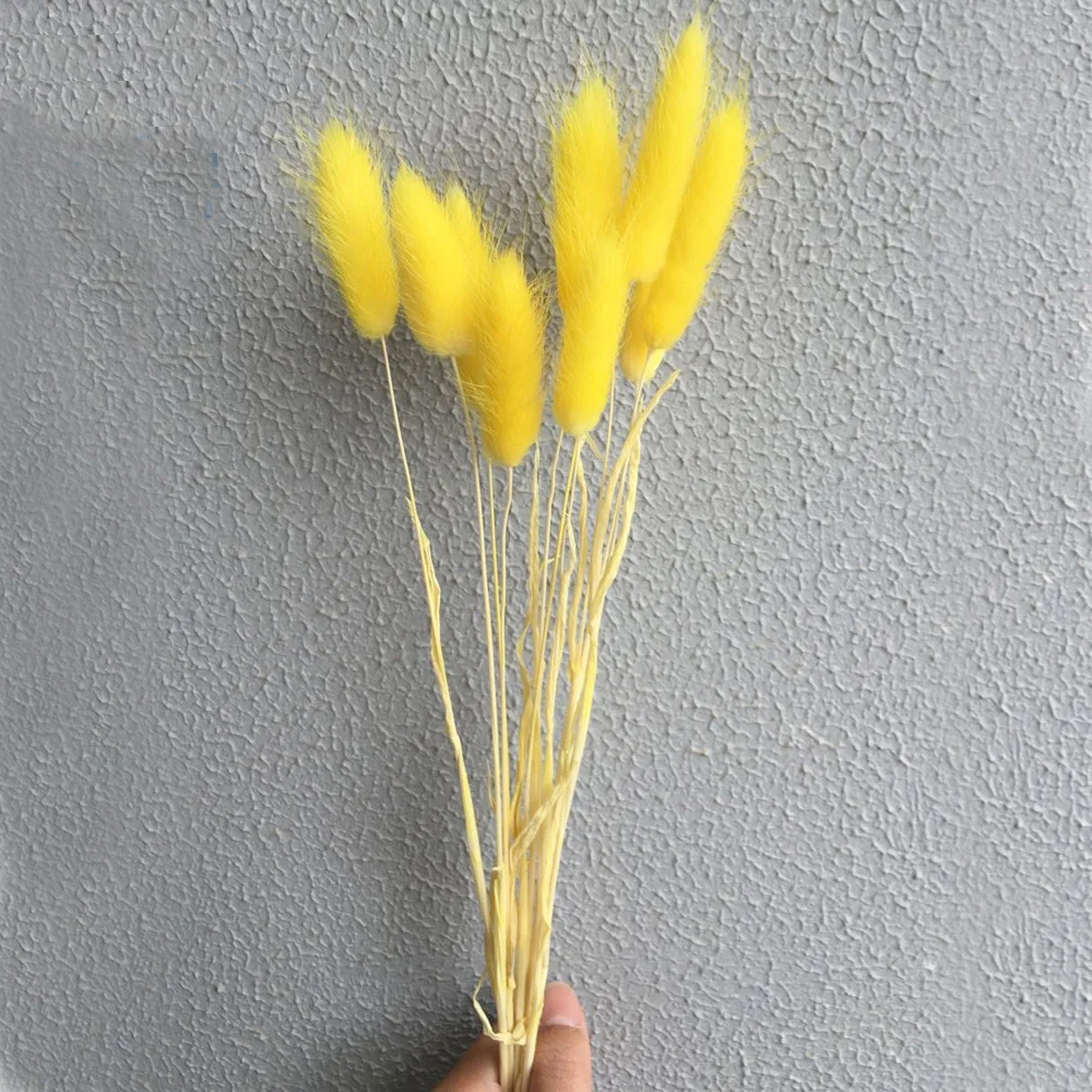 50pcs dried natural flower bouquets yellow color Lagurus ovatus bouquets&Uraria picta&rabbit tail grass bouquets bunches