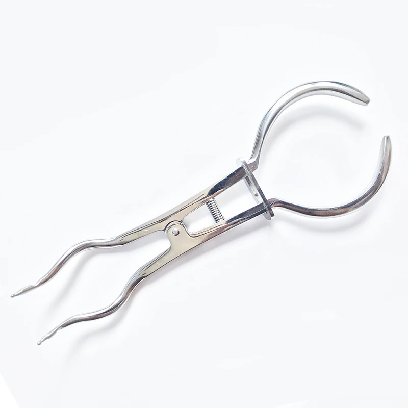 1 Set Teeth Care Dental Dam Perforator Dental Dam Hole Puncher Pliers for Dentist Rubber Dam Puncher Lab Orthodontic Tools