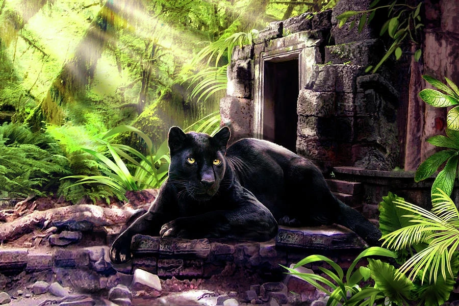 Jmine Div-5D Black Panther Forest Full Diamond Painting Cross Stitch Kits 3D Animal Paint by Diamonds High Quality