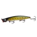 Black back yellow