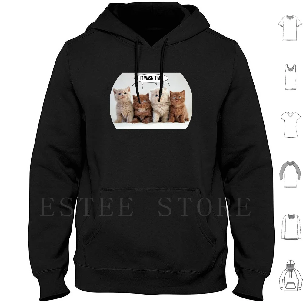 It Wasn't Me Hoodie Long Sleeve Cat Cats Kitten Kittens Innocent Innocence Cute Funny Shaggy Furry Fuzzy Brown White Fur