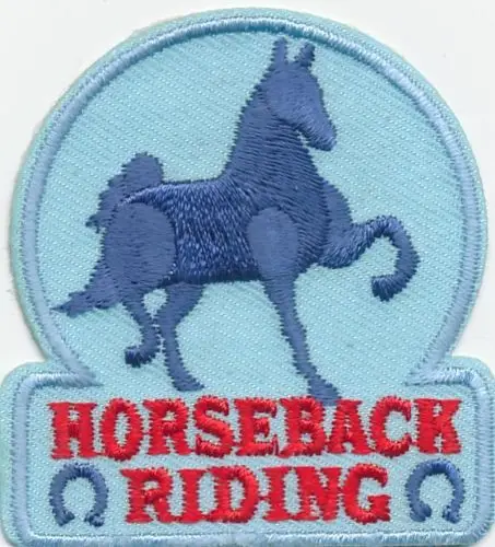 

Горячий! Boy Girl cub HORSEBACK RIDING BLUE Fun Patches Значки Crests GUIDES SCOUT (≈ 6,4*7,1 см)