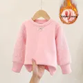 Velvet Deep Pink
