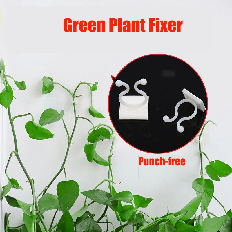 Wall Climbing Fixer for Green Plants Green Climbing Vine for Creepers Pasta Vegetables Hooks Creeper Organizer 10Pcs