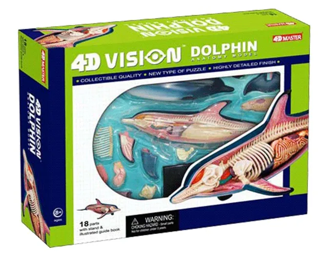 

4D MASTER educational toys assembled dolphin anatomy animal anatomical model