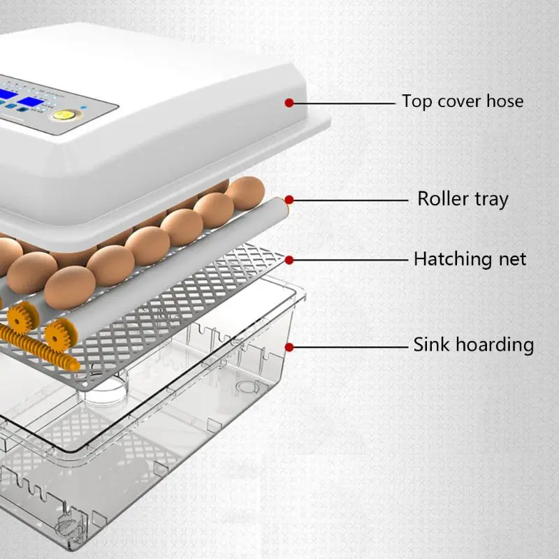 Imagem -06 - Ferramentas Automáticas de Incubação Agrícola Incubadora de Ovos Criadeira Pássaro Codorna Pintainho Incubadora Incubadora Turner ue Eua 220v