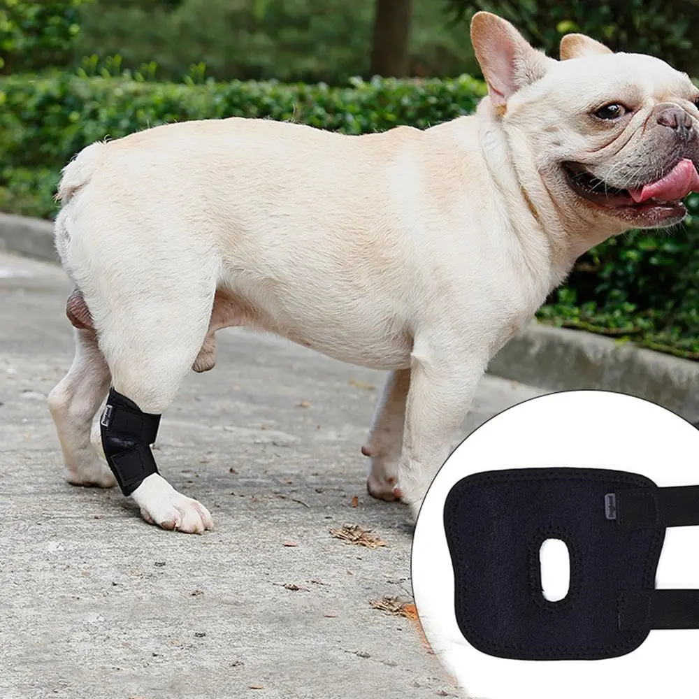 Joelheiras respiráveis para pet, suporte para perna, envoltório conjunto de jarrete, recuperação de pernas, protetor do cão, protege bandagem, 1 pc