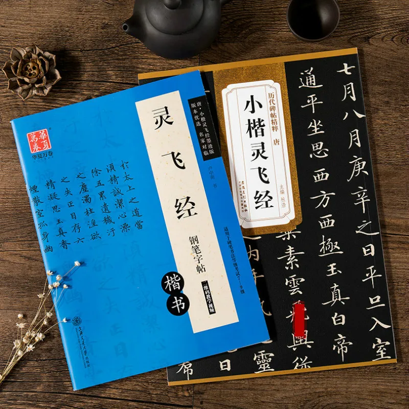 

Chinese Pen Copybook 2pcs Beginner Adult Handwriting Regular Script Calligraphy Techniques of Pen Calligraphy Tutorial