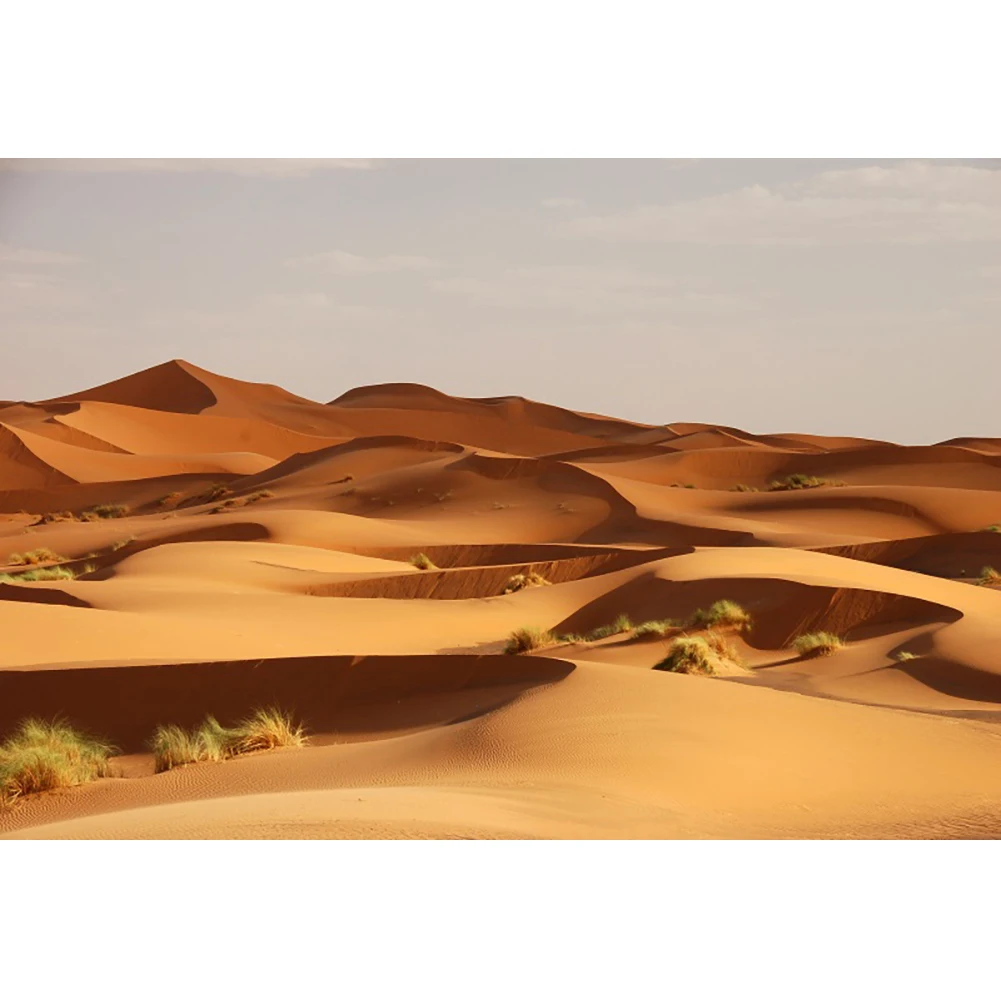 Laeacco bellissimo deserto vista naturale sfondo fotografico duna di sabbia gialla escursione di un giorno di sole fondali per feste famiglia Photocall