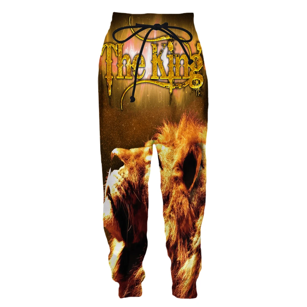 PLstar Cosmos Newest Animal Pet Dog Tiger Lion Men/Women Streetwear 3DPrint Harajuku Unique Casual Jogger Sport Trousers Pants 1