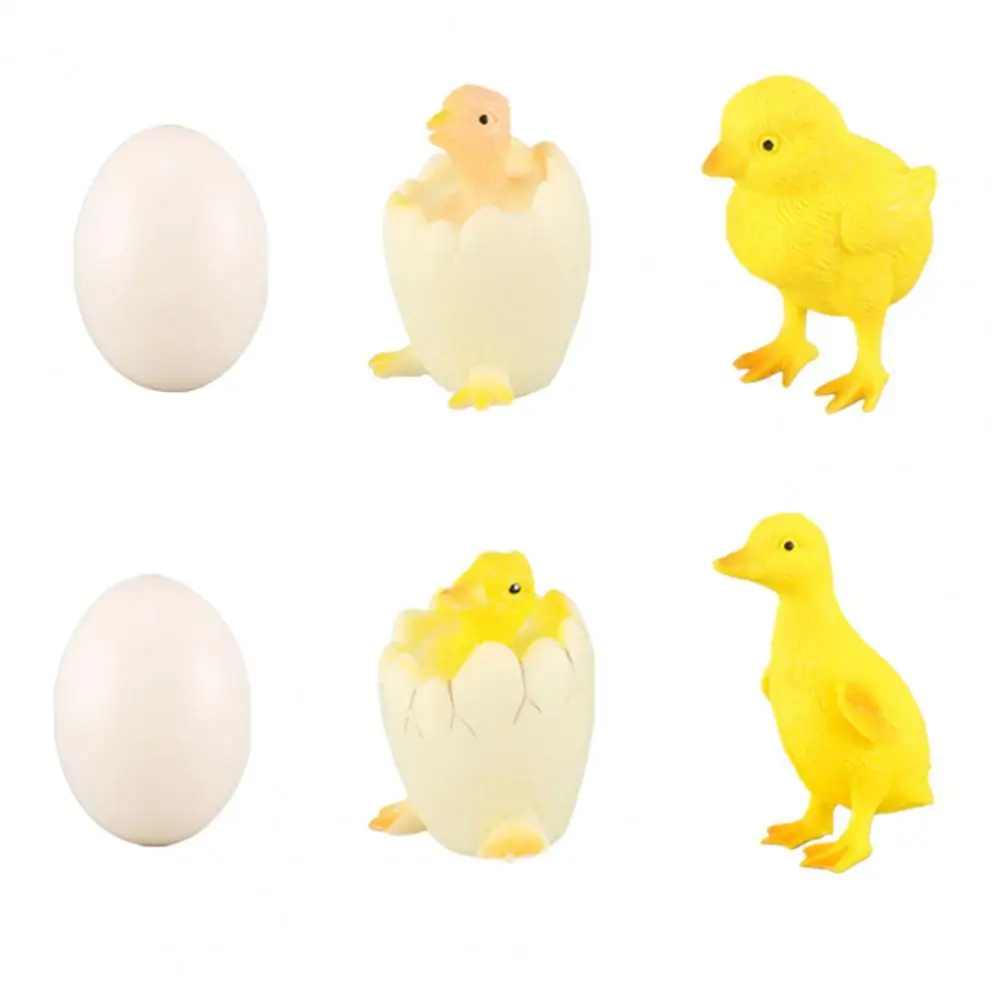 6Pcs/Set High Simulated Chick Toy Kit Interactive High Imitation Lovely Chicken Farm Animal Life Cycle Growth Model for Children