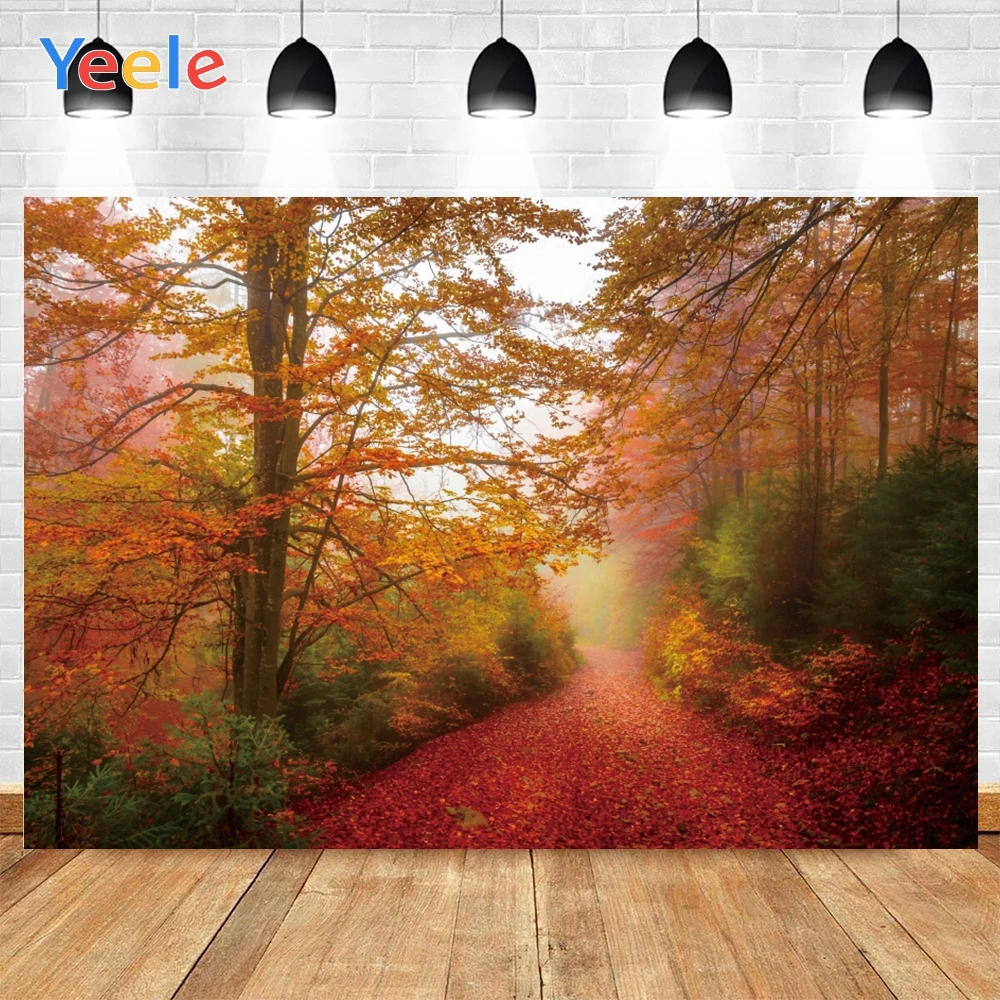 Yeele-خلفيات مشهد الخريف للتصوير الفوتوغرافي ، أوراق الغابات ، استوديو الصور Hotographic ، خلفية الصورة ، ديكورات أعياد الميلاد ، الدعامة