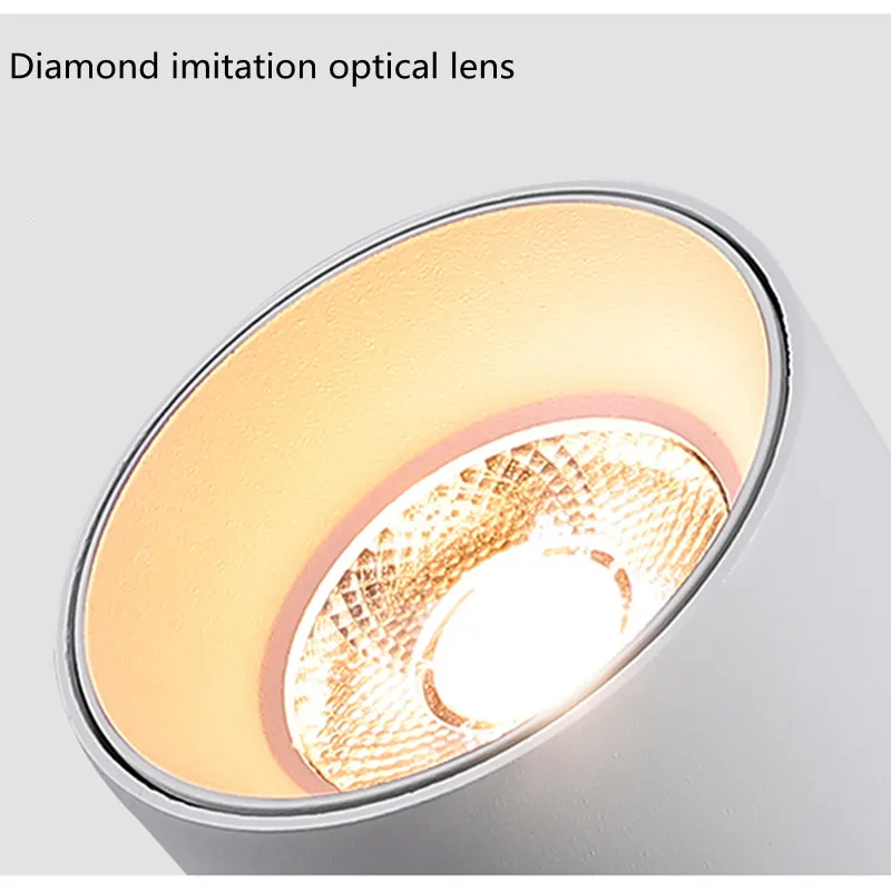 Surface mount dimmable rotating LED ceiling light, COB LED spotlight, 7W10W15W20W, with AC110V / 220V LED driver