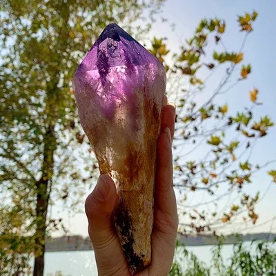 Natural amethyst scepter backbone raw stone raw ore wool specimen ornaments electrical healing stone