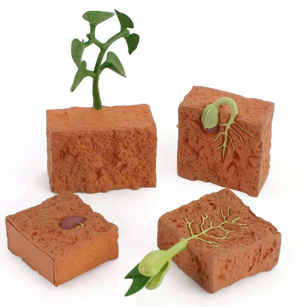 PVC Simulation Life Cycle Of Green Bean Plant Growth Cycle Model Action Figures Collection Science Educational Toys For Children