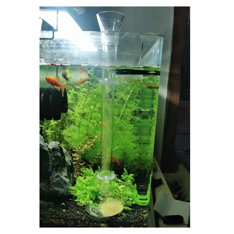 Aquarium Feeder Acrylic Round Straight Tube Transparent Fish Shrimp Snail Feeder Submersible Fish Tank Feeder Feeding Plate