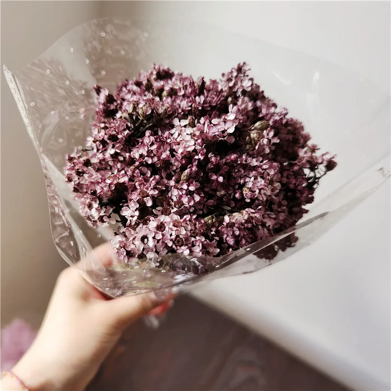 Home Decore  Real Preserved  Flower DIY Flower Feverfew Ikebana Tiny Flowers  Wedding Table Decoration