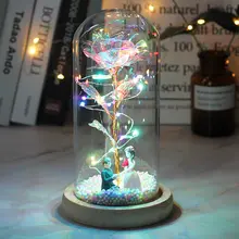 Galaxy Rose LED Dome Gift #5